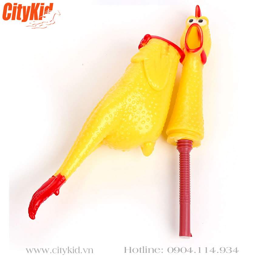 Gà bóp kêu Shrilling chicken Gà Shrilling chicken Hà Nội