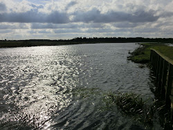 Skjern Au _ Oktober 2012 - 012