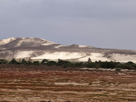 23. Dealuri cu nisip.JPG