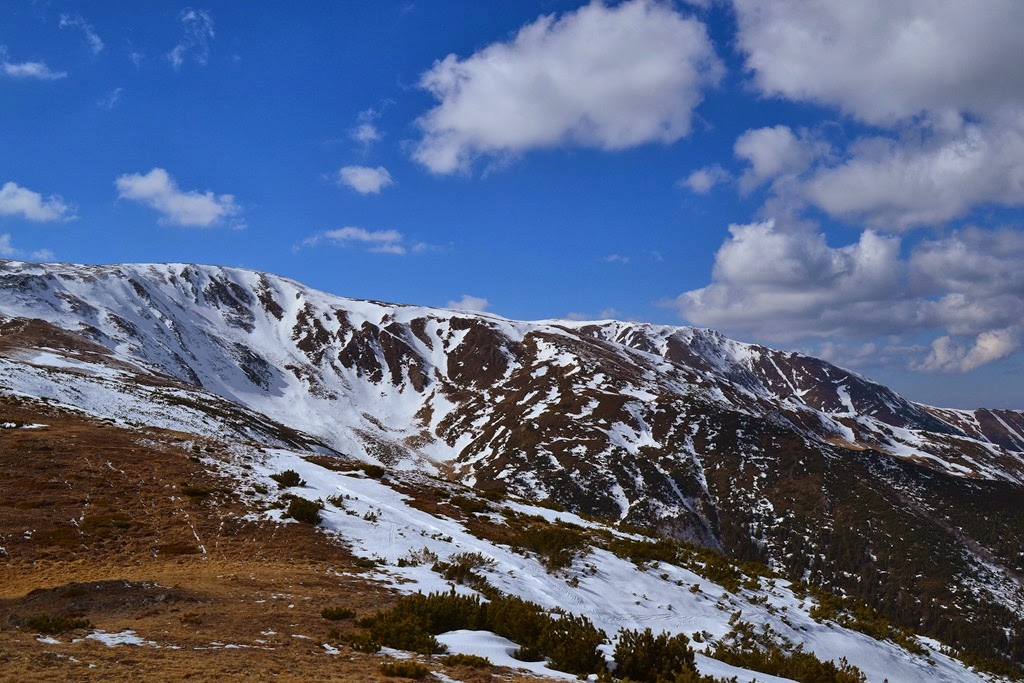 [DSC_51357.jpg]