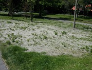 20130604_132627