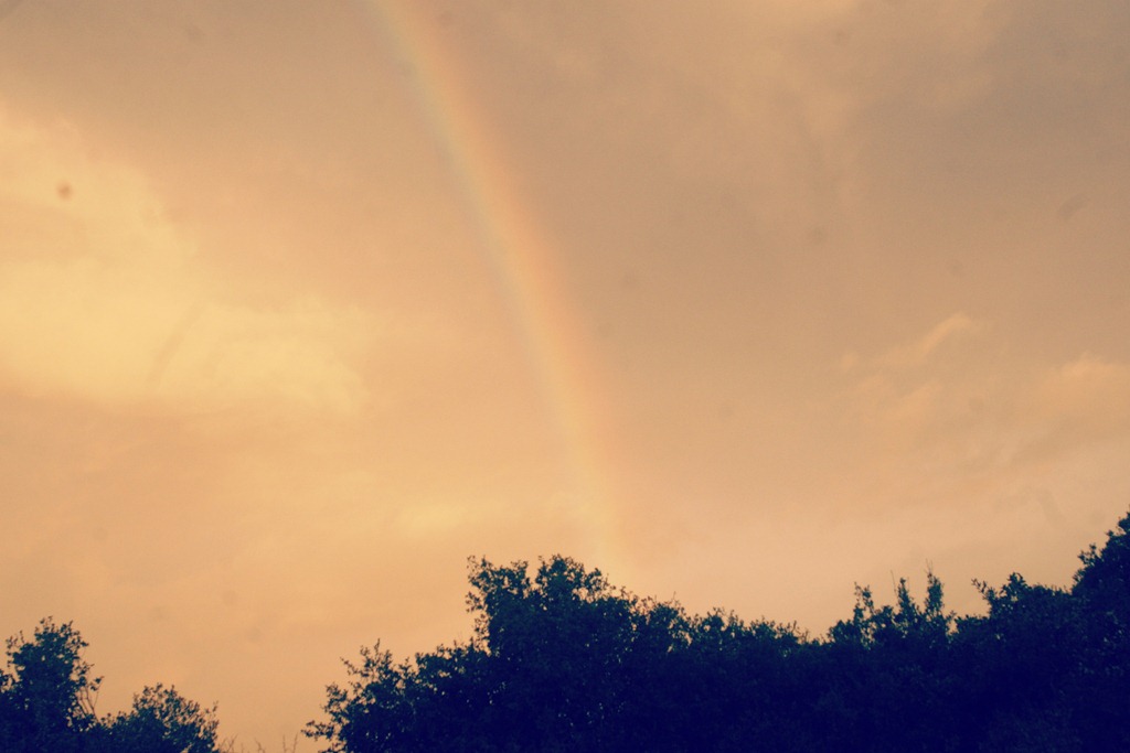 [rainbow4.jpg]