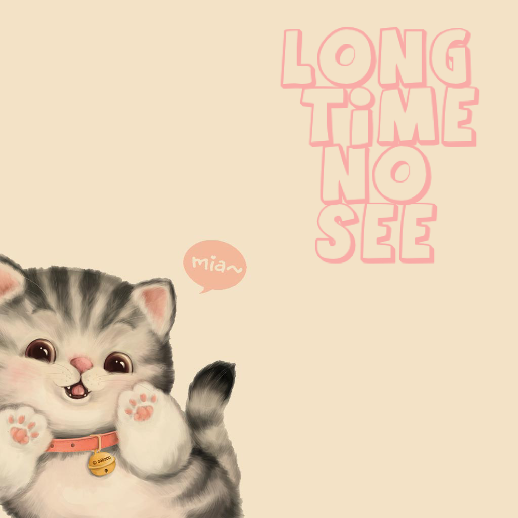 Long Time No See 