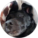 Image Google de eloise geffroy