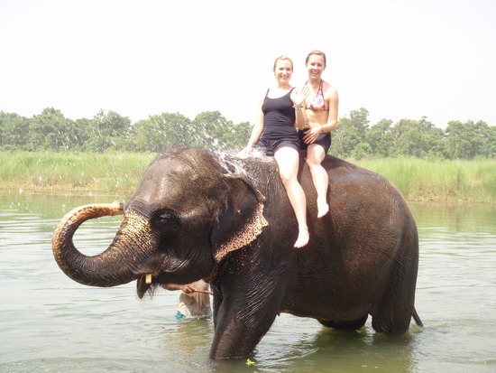 [1.1276122366.elephant-bath%255B9%255D.jpg]