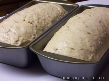 [sprouted-emmer-bread%2520030%255B1%255D.jpg]