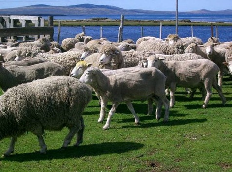 [clip_image015%255B4%255D.jpg]