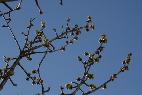 20100406 (1) (Large)