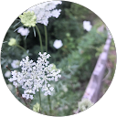 A. Osgood profile picture