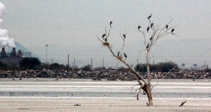 [DSC_5947%255B4%255D.jpg]