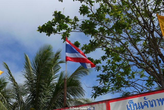 [P10304882.jpg]