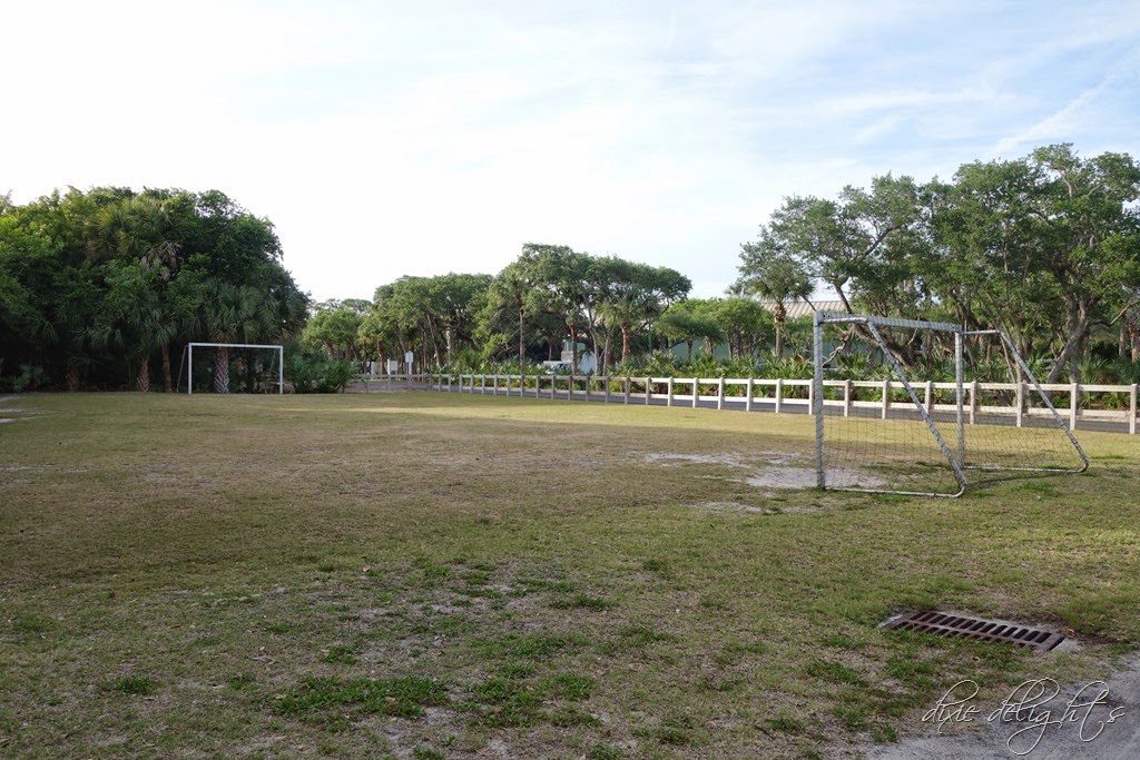 [DSC009503.jpg]