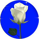 Th. St. profile picture