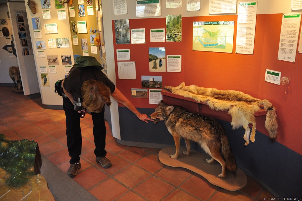 [DSC_0065%255B4%255D.jpg]