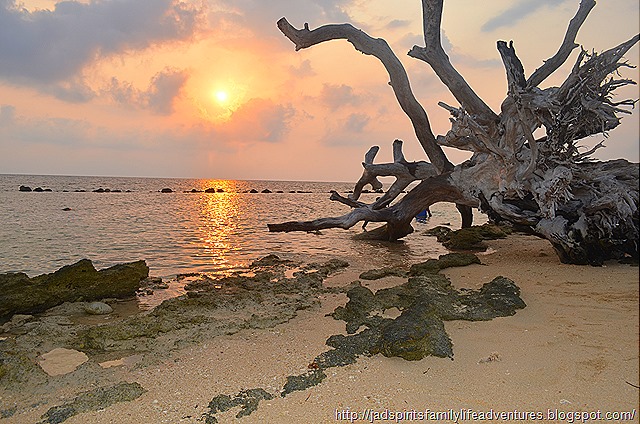 http://jadspiritsfamilylifeadventures.blogspot.com/2014/07/6-things-to-fully-enjoy-enchanting.html DSC_0697
