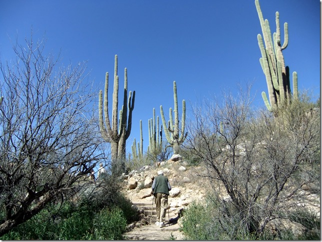 Ed hiking 3-6-2012 10-56-59 AM 3616x2712