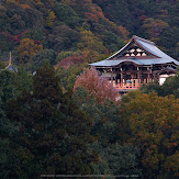 朝護孫子寺,紅葉(PK3_0070,F5.6,85mm,K3)2014yaotomi_.jpg