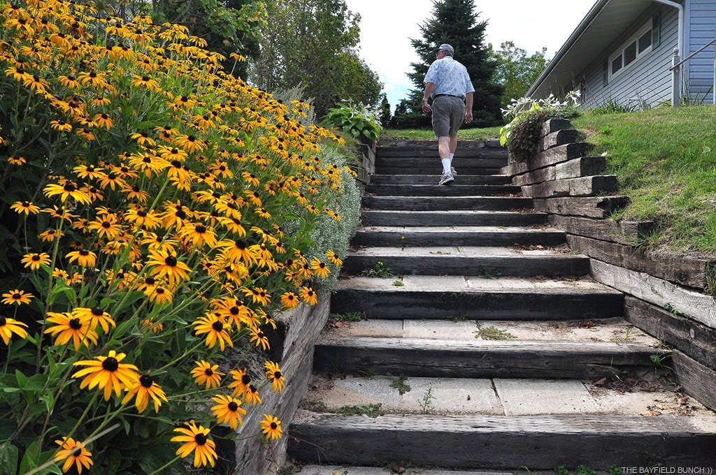 [DSC_0018%255B4%255D.jpg]