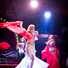 IMG_9650.jpg