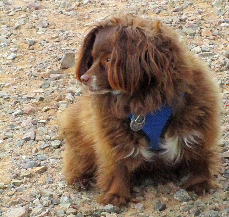 [IMG_1647%255B5%255D.jpg]