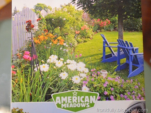 American Meadows garden