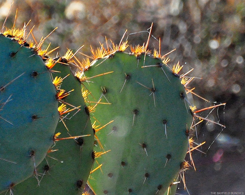 [DSC_0007%255B5%255D.jpg]