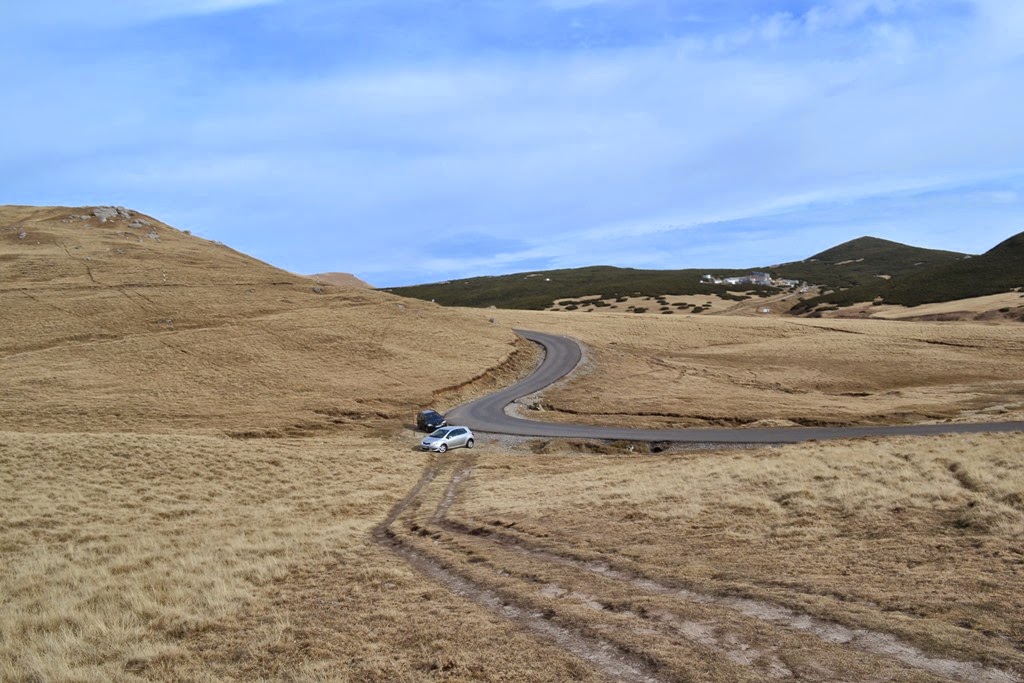 [DSC_73563.jpg]