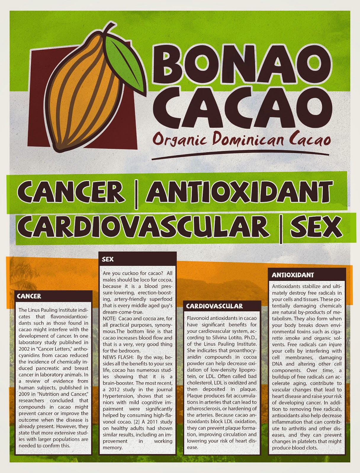 Cacao Nibs How to turn cacao nibs into powder