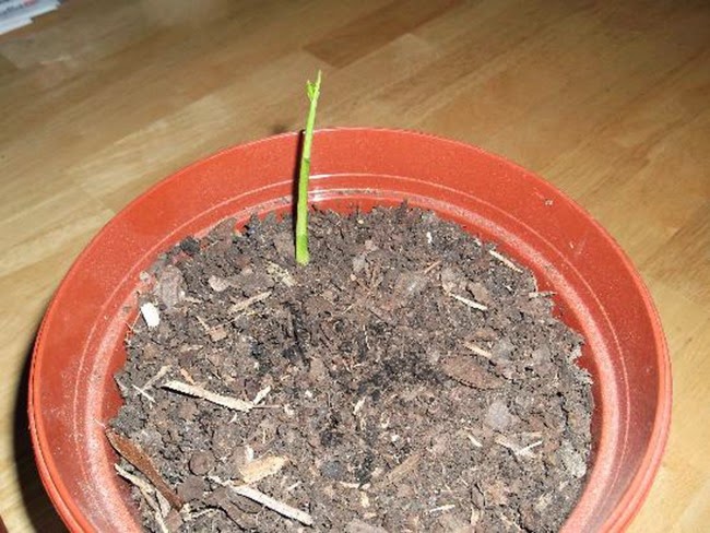 [clip_image0034.jpg]