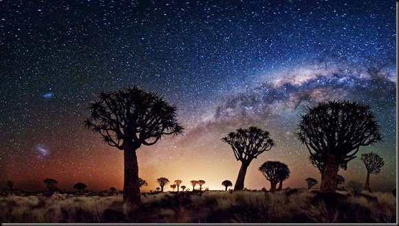 Trees_Galaxy_Milky_Way_Stars_sky_desert_1920x1080