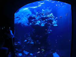 2012-10-20 Mallorca by BREITENGRAD53 - 192