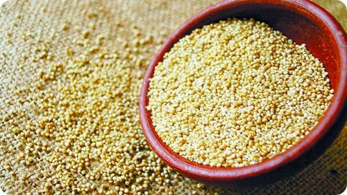 quinoa-salto-escena-mundial