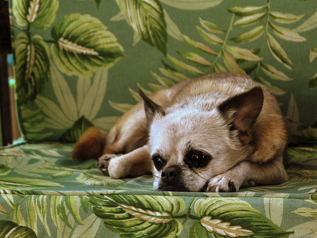 [DSC_0007%255B3%255D.jpg]