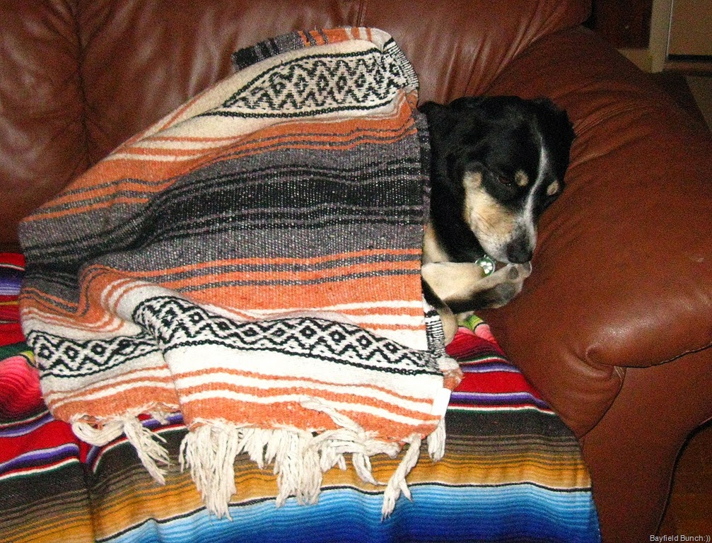 [IMG_3768%255B3%255D.jpg]