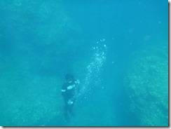 2013 Ishigaki 041 2013 Ishigaki 041