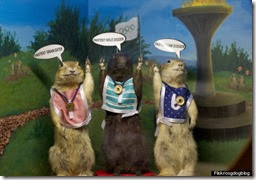 Olympic gophers