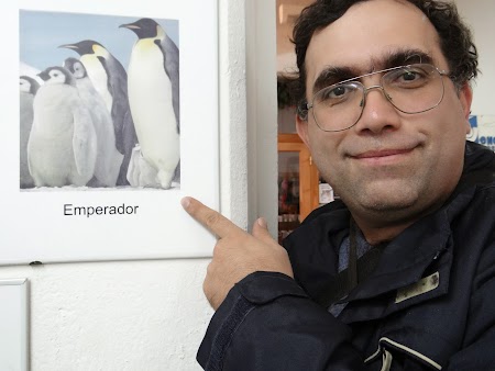 Ushuaia, Tara de Foc: Pinguini imperiali