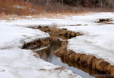 6. frozen marsh-kab