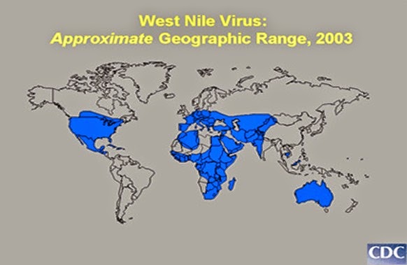 west-nile-virus 2