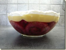trifle2