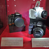 IMGP2836.jpg