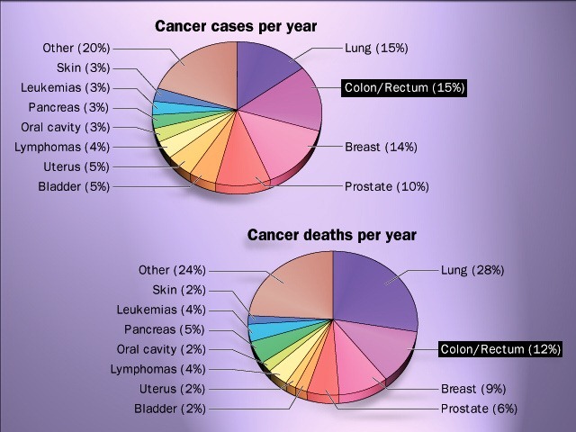 [Cancer%2520cases%2520%2526%2520death%2520per%2520year-colon%255B2%255D.jpg]