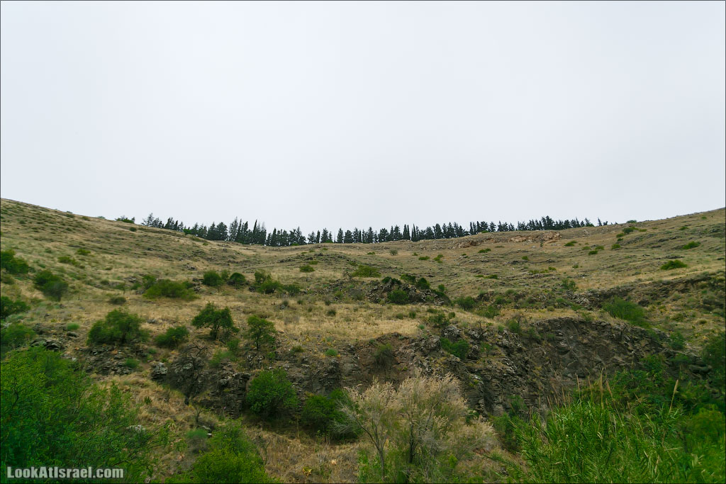 LookAtIsrael.com: Фото-блог о путешествиях по Израилю. Тель Авив, Иерусалим, Хайфа Где то там наверху за деревьями наши машинки 