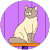 Cat M Cat M