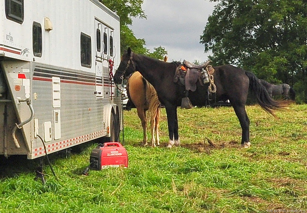 [DSC_0006-0011%255B2%255D.jpg]