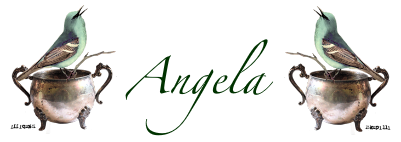 [Angela%2520bird%255B3%255D.png]