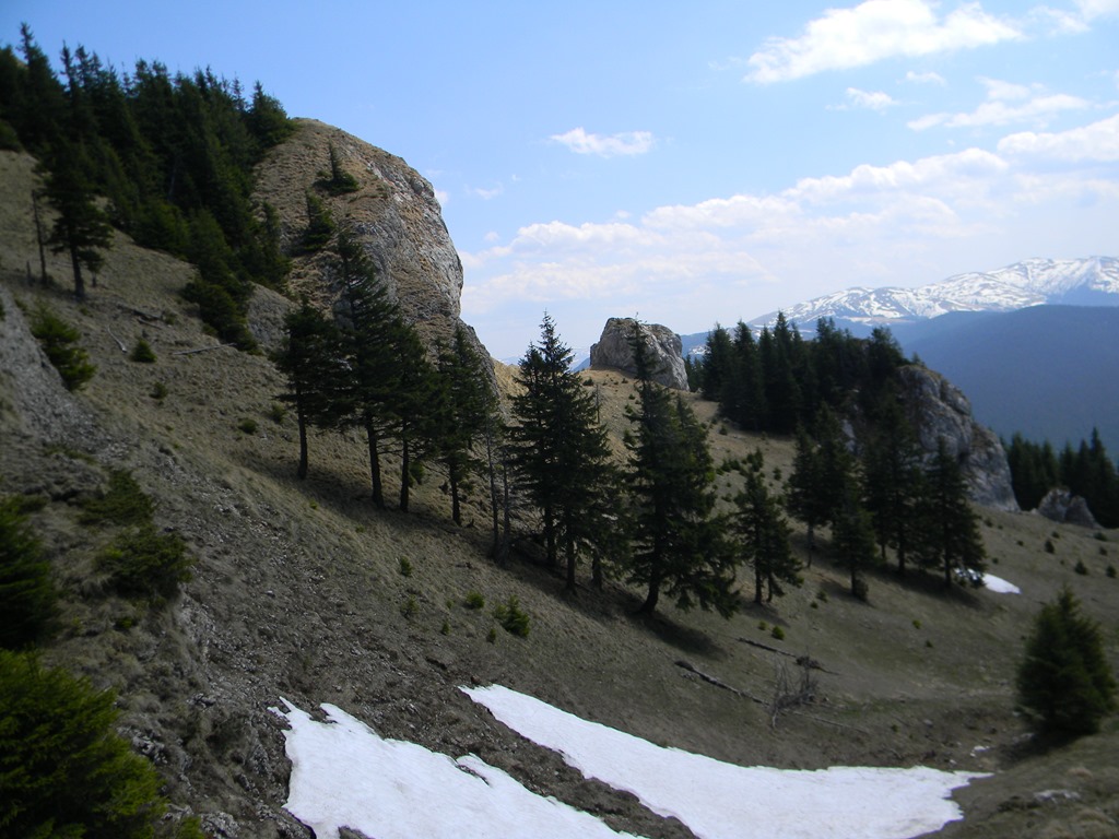 [DSCN77843.jpg]