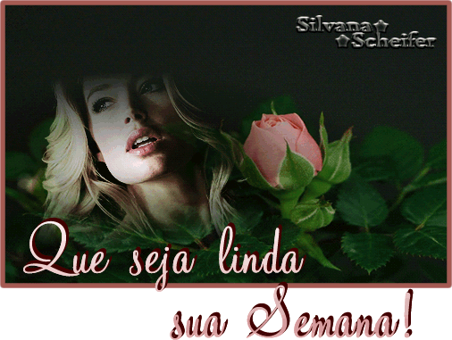 sil15.gif