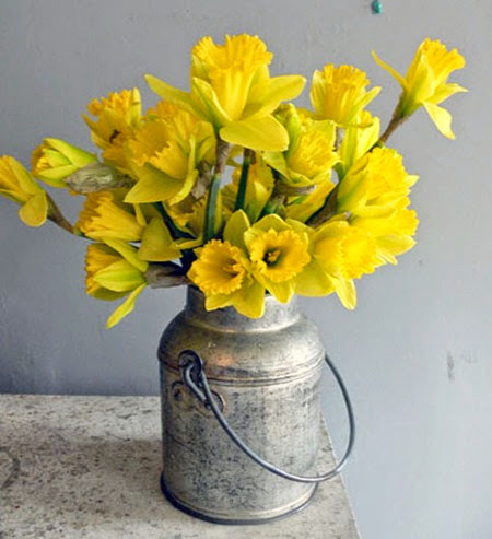 Daffodils 009