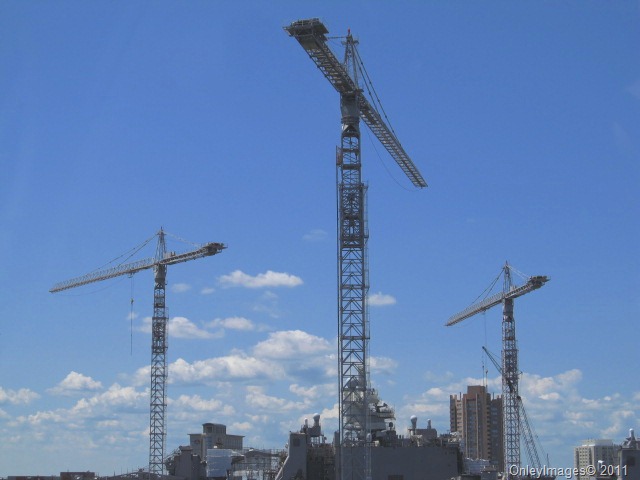 [cranes0817%2520%25282%2529%255B18%255D.jpg]